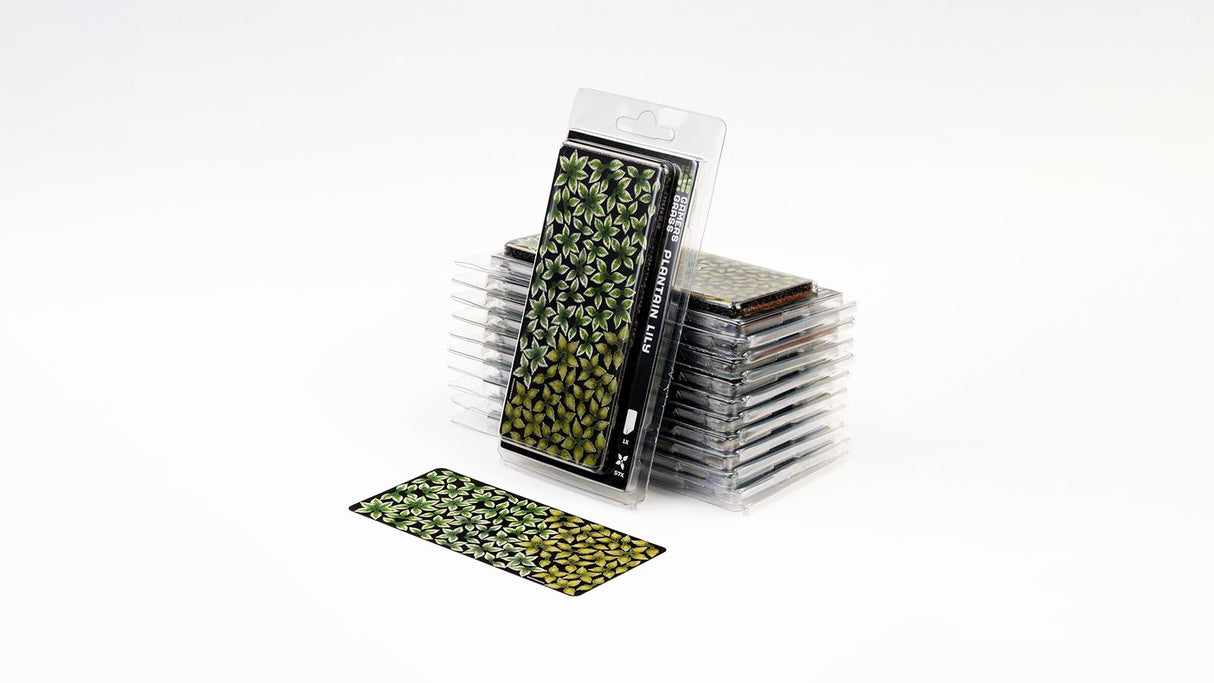 Gamers Grass - Laser Plants - Plantain Lily