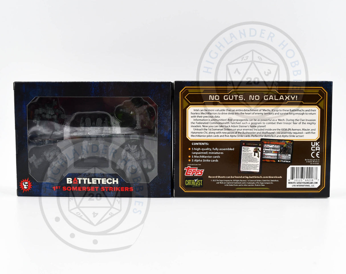 1st Somerset Strikers Force Pack 35779 [Battletech]