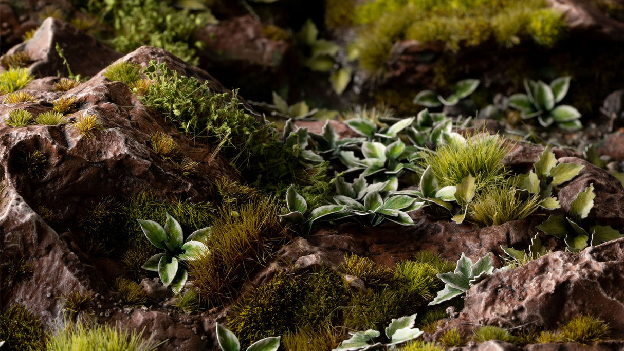 Gamers Grass - Laser Plants - Plantain Lily