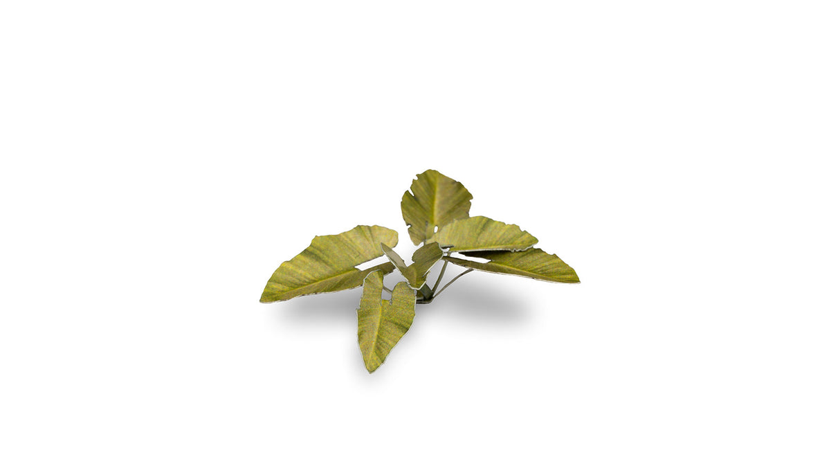 Gamers Grass - Laser Plants - Elephant Ear